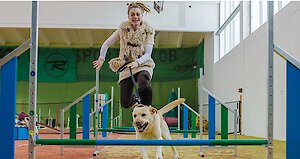 Große Agility-Hundehalle mit hochwertigen Trainingsgeräten für Hunde